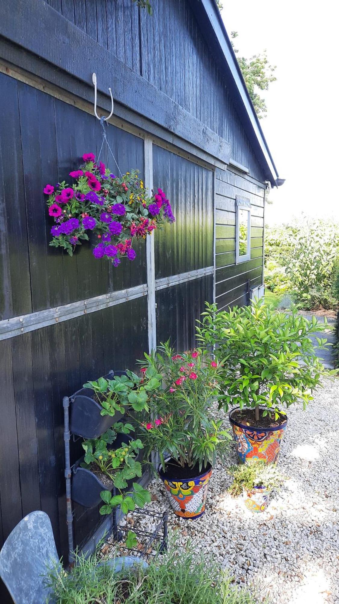 Wijk en Aalburg Vakantiehuis Onder De Peppel Met Sauna En Jacuzzi מראה חיצוני תמונה